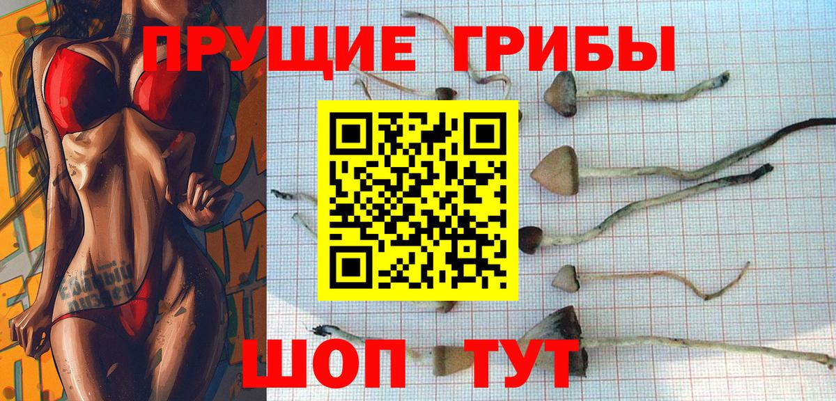 Псилоцибиновые грибы ЛСД  Вход с VPN  Советск  Галлюциногенные грибы прущие грибы 