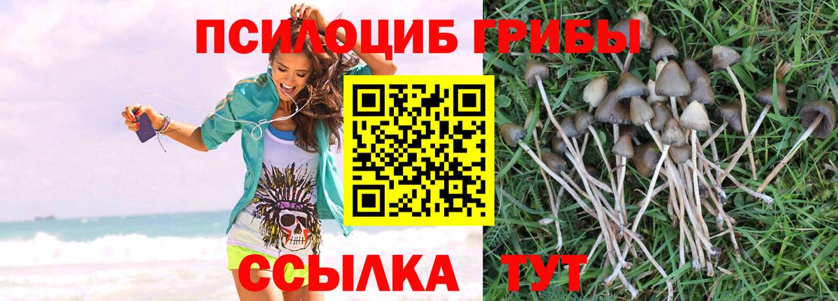 Псилоцибиновые грибы прущие грибы Советск